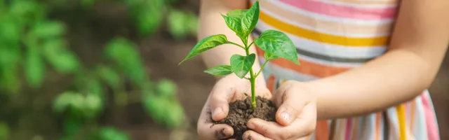 plant in hand