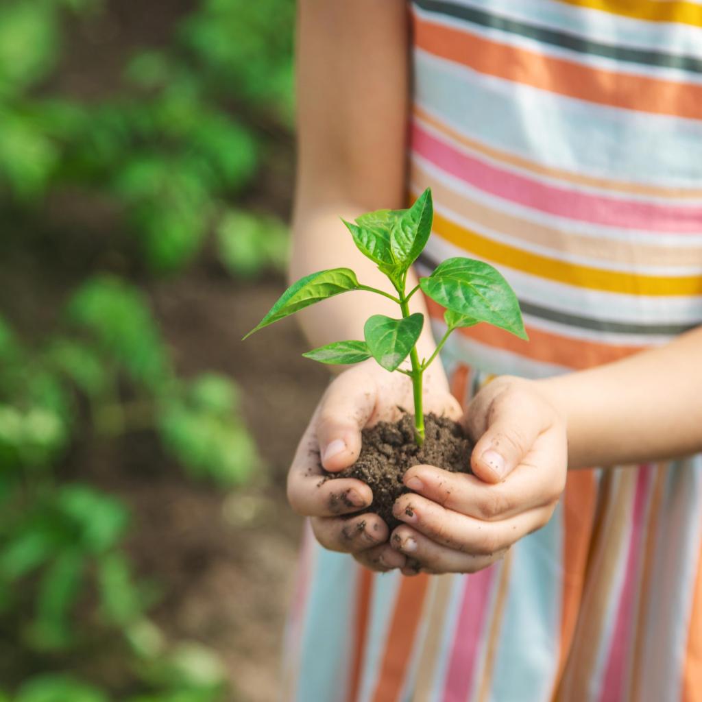 plant in hand