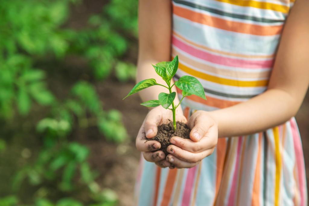 plant in hand